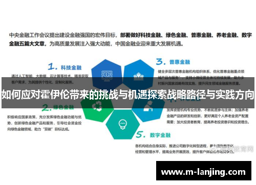 如何应对霍伊伦带来的挑战与机遇探索战略路径与实践方向