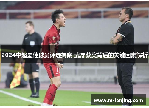 2024中超最佳球员评选揭晓 武磊获奖背后的关键因素解析