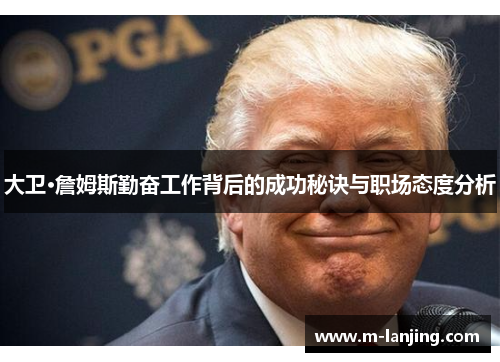 大卫·詹姆斯勤奋工作背后的成功秘诀与职场态度分析