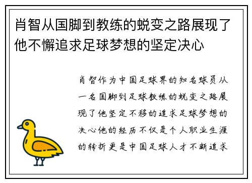 肖智从国脚到教练的蜕变之路展现了他不懈追求足球梦想的坚定决心
