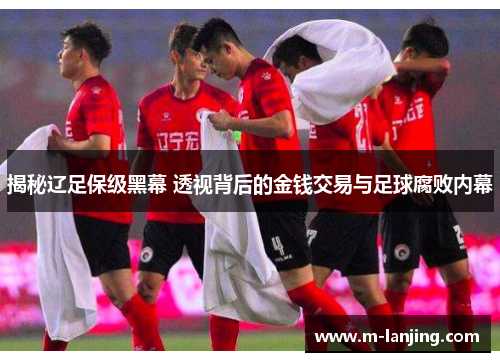 揭秘辽足保级黑幕 透视背后的金钱交易与足球腐败内幕