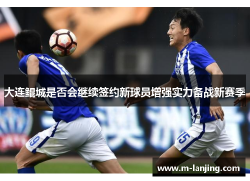 大连鲲城是否会继续签约新球员增强实力备战新赛季