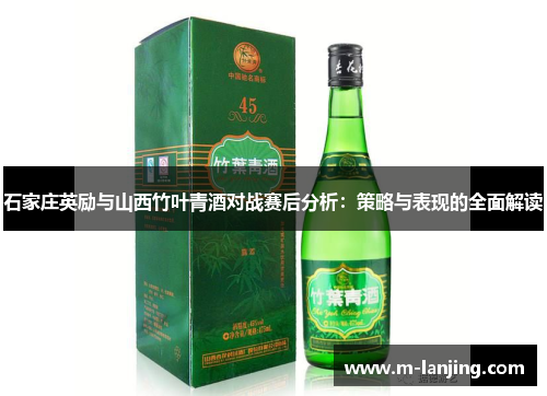 石家庄英励与山西竹叶青酒对战赛后分析：策略与表现的全面解读