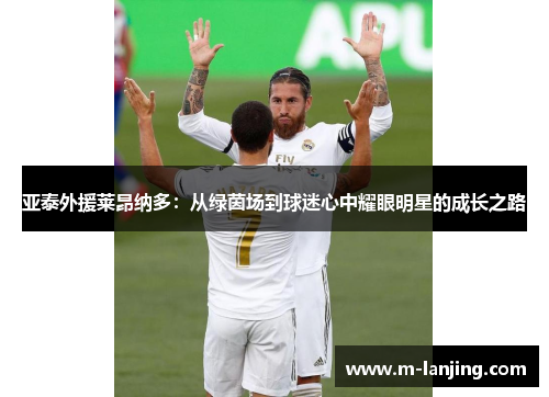 亚泰外援莱昂纳多：从绿茵场到球迷心中耀眼明星的成长之路