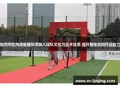 如何帮助海港新援快速融入球队文化与战术体系 提升整体协同作战能力