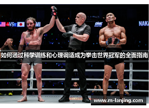 如何通过科学训练和心理调适成为拳击世界冠军的全面指南