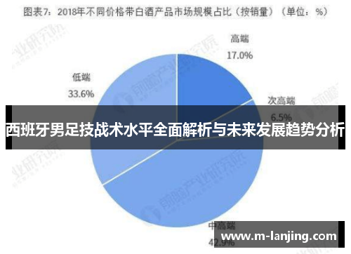 西班牙男足技战术水平全面解析与未来发展趋势分析