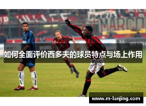 如何全面评价西多夫的球员特点与场上作用